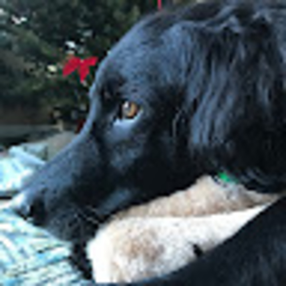 Meet your Posher, Leah